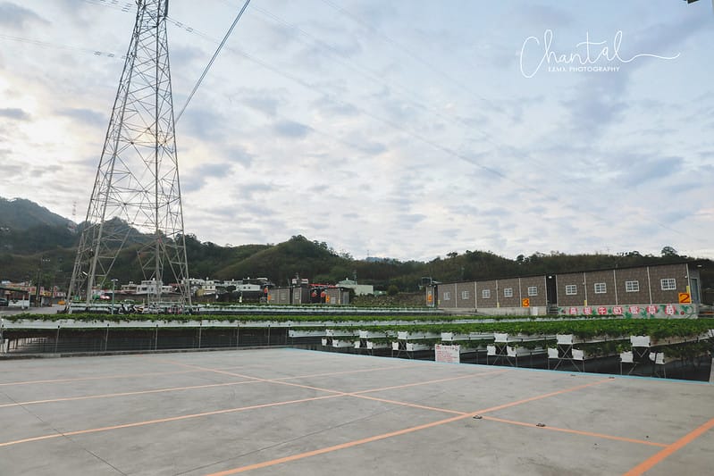 _J6A9741-2 拷貝