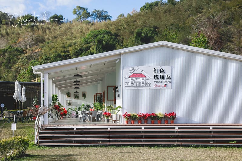 【大湖鄉/景點、咖啡店】環境大又漂亮,心中第一的草莓莊園-紅色琉璃瓦草莓園 & SUHU Café 舒服生活 - 第3張圖 _J6A0059-2 拷貝