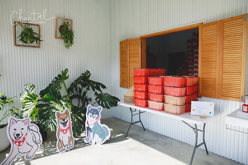 【大湖鄉/景點、咖啡店】環境大又漂亮,心中第一的草莓莊園-紅色琉璃瓦草莓園 & SUHU Café 舒服生活 - 第34張圖 _J6A0469-2 拷貝