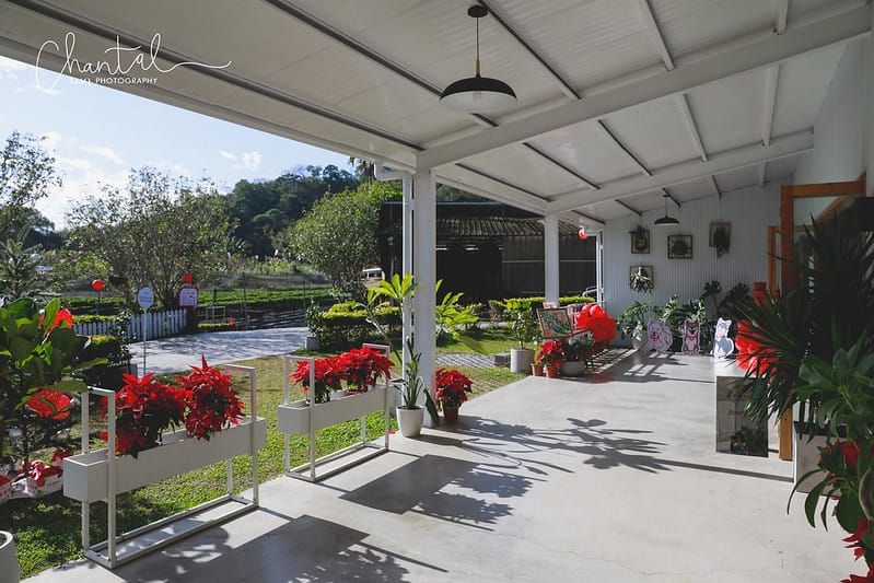 【大湖鄉/景點、咖啡店】環境大又漂亮,心中第一的草莓莊園-紅色琉璃瓦草莓園 & SUHU Café 舒服生活 - 第8張圖 _J6A0397-2 拷貝