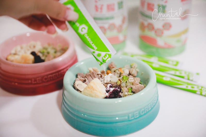 托托開箱四合一複方,有酵護腸-歸毛家族好腸寶 寵物益生菌PLUS (廠商邀約) - 第4張圖 _J6A0601-2 拷貝