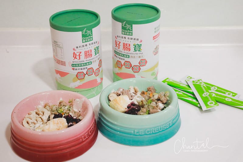 托托開箱四合一複方,有酵護腸-歸毛家族好腸寶 寵物益生菌PLUS (廠商邀約) - 第9張圖 _J6A0615-2 拷貝