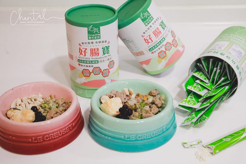 托托開箱四合一複方,有酵護腸-歸毛家族好腸寶 寵物益生菌PLUS (廠商邀約) - 第10張圖 _J6A0572-2 拷貝