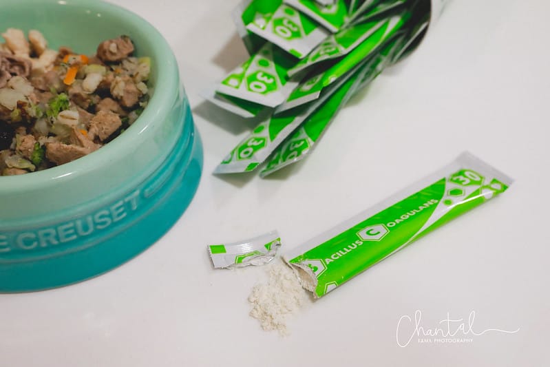 托托開箱四合一複方,有酵護腸-歸毛家族好腸寶 寵物益生菌PLUS (廠商邀約) - 第7張圖 _J6A0574-2 拷貝