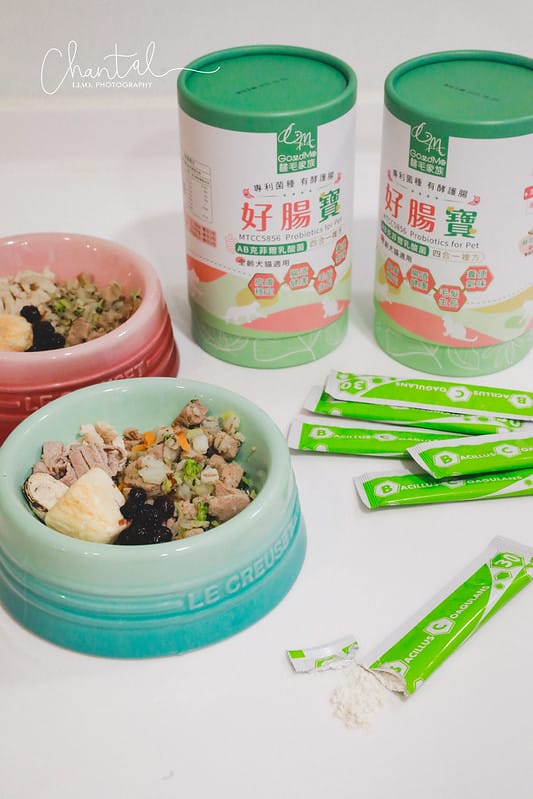 托托開箱四合一複方,有酵護腸-歸毛家族好腸寶 寵物益生菌PLUS (廠商邀約) - 第5張圖 _J6A0582-2 拷貝
