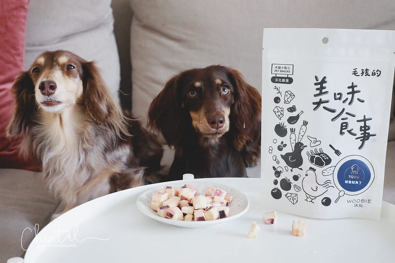 托托開箱愛你的毛孩,就從日常生活中做起-WOOBIE沃比寵物保養品、寵物點心(廠商邀請) - 第28張圖 _J6A1036-2 拷貝