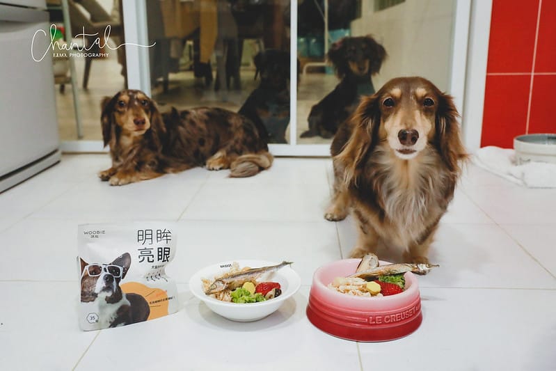托托開箱愛你的毛孩,就從日常生活中做起-WOOBIE沃比寵物保養品、寵物點心(廠商邀請) - 第12張圖 _J6A3515-2 拷貝