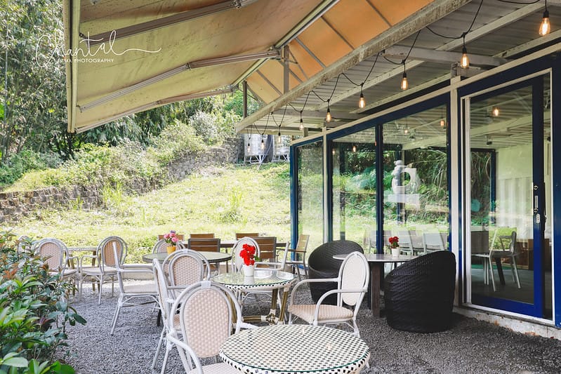 【坪林/餐廳、咖啡廳】COTD之與自然共生,茶園邊的玻璃屋早午餐-心茶合一 TeaFlow - 第9張圖 _J6A8868-2 拷貝