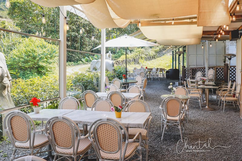 【坪林/餐廳、咖啡廳】COTD之與自然共生,茶園邊的玻璃屋早午餐-心茶合一 TeaFlow - 第6張圖 _J6A8763-2 拷貝