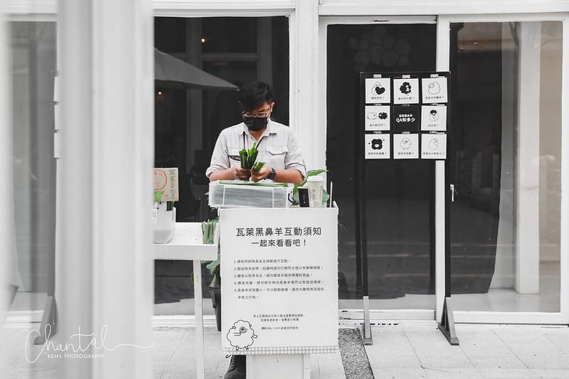 _J6A4277 拷貝-2