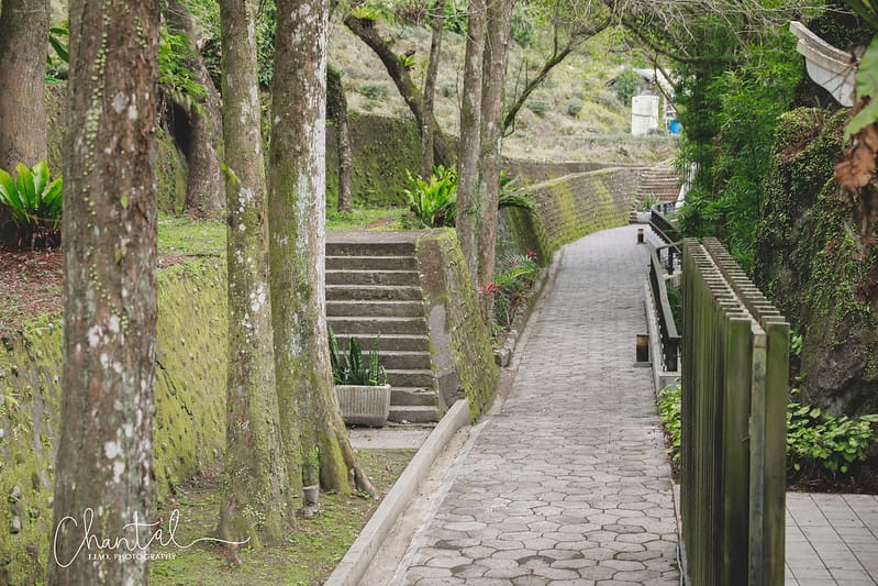 【坪林/景點】超美閩南安溪風格的四合院建築;寵物超友善的小橋流水中式庭院-坪林茶業博物館 - 第13張圖 _J6A9190-2 拷貝