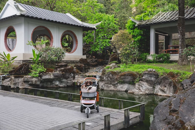 【坪林/景點】超美閩南安溪風格的四合院建築;寵物超友善的小橋流水中式庭院-坪林茶業博物館 - 第18張圖 _J6A9247-2 拷貝