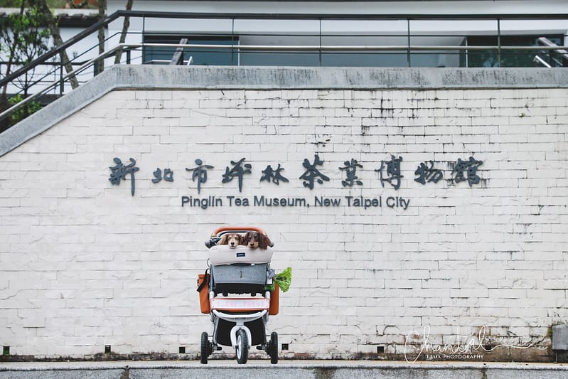 【坪林/景點】超美閩南安溪風格的四合院建築;寵物超友善的小橋流水中式庭院-坪林茶業博物館 - 第2張圖 _J6A9094-2 拷貝