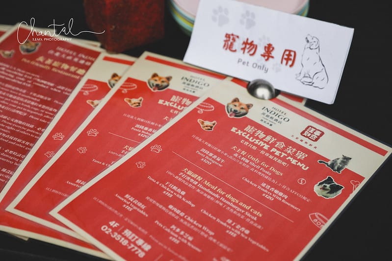 【中山區/大直商圈】居然是寵物友善的超遼闊、超愜意的戶外露台酒吧 SneaKOut BAR (含毛孩午茶派對分享) (圖多) - 第24張圖 1J6A1913-2 拷貝