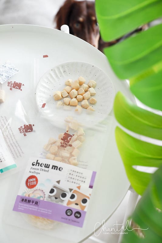 托托開箱人食等級的寵物食品,CHEW ME讓你一次擁有-原肉凍乾零食、凍乾營養拌拌粉、機能補水湯包 (廠商邀約) - 第9張圖 1J6A3723-2 拷貝