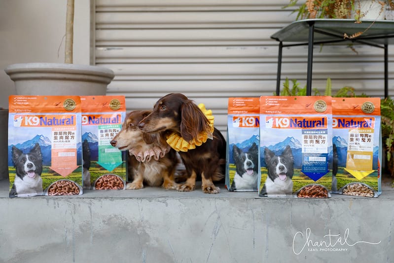 托托開箱來自紐西蘭的天然食品,專屬狗狗的生肉配方-K9 Natural (廠商邀約) - 第10張圖 1J6A0705-2拷貝 拷貝