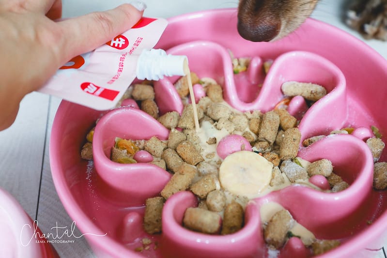 托托開箱來自紐西蘭的天然食品,專屬狗狗的生肉配方-K9 Natural (廠商邀約) - 第19張圖 1J6A0862-2拷貝 拷貝