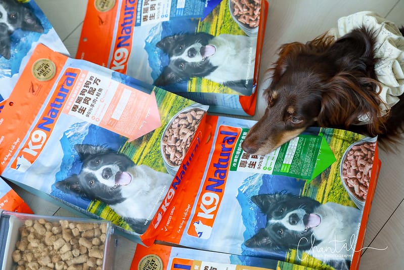 托托開箱來自紐西蘭的天然食品,專屬狗狗的生肉配方-K9 Natural (廠商邀約) - 第25張圖 1J6A0618-2拷貝 拷貝
