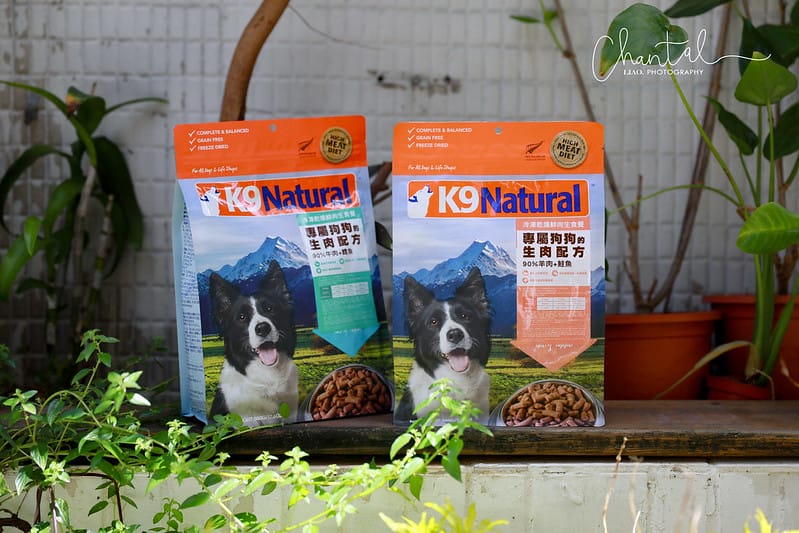 托托開箱來自紐西蘭的天然食品,專屬狗狗的生肉配方-K9 Natural (廠商邀約) - 第15張圖 1J6A0673-2拷貝 拷貝