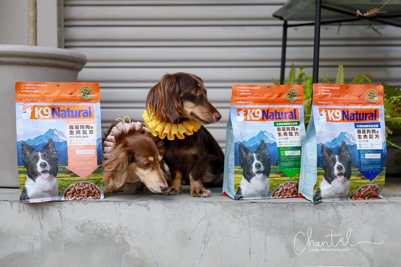 托托開箱來自紐西蘭的天然食品,專屬狗狗的生肉配方-K9 Natural (廠商邀約) - 第26張圖 1J6A0695-2拷貝 拷貝