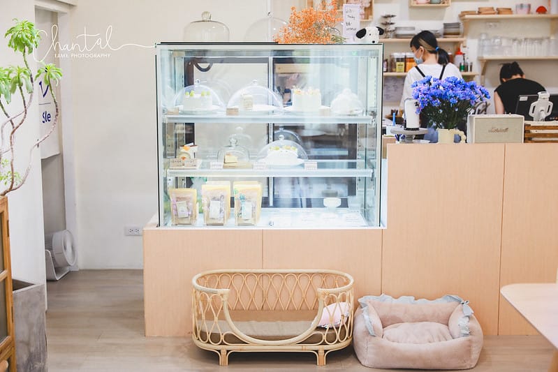 【桃園區/咖啡店】COTD之結合寵物烘培的韓系咖啡 The day cafe 這一天 (還有三隻可愛的比熊喔) - 第15張圖 1J6A5074-2 拷貝