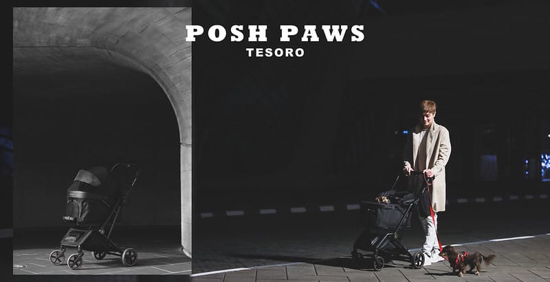 SHARE 便宜到貴,托托的4款推車(PETSTRO沛德奧、PET PARADISE、WILL、AIRBUGGY、POSHPAWS)FikaGo 比較 (2024.1月更新) - 第25張圖 封面