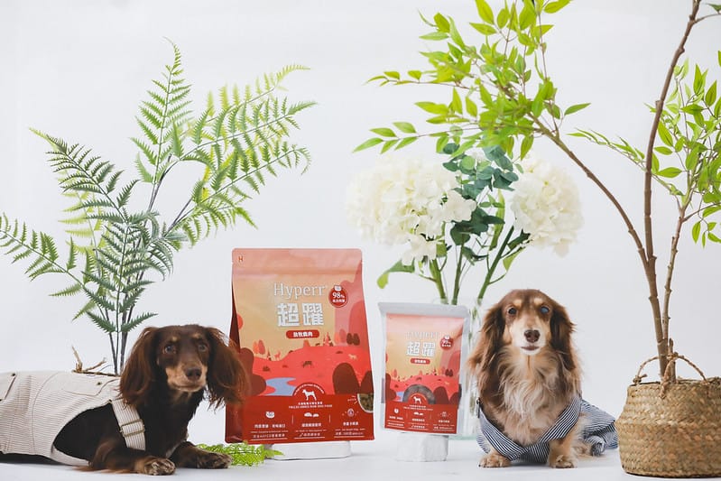 托托開箱 高達98%含肉量,毛孩絕對不能錯過的Hyperr超躍凍乾生食 (廠商邀約) - 第1張圖 鳳面拷貝