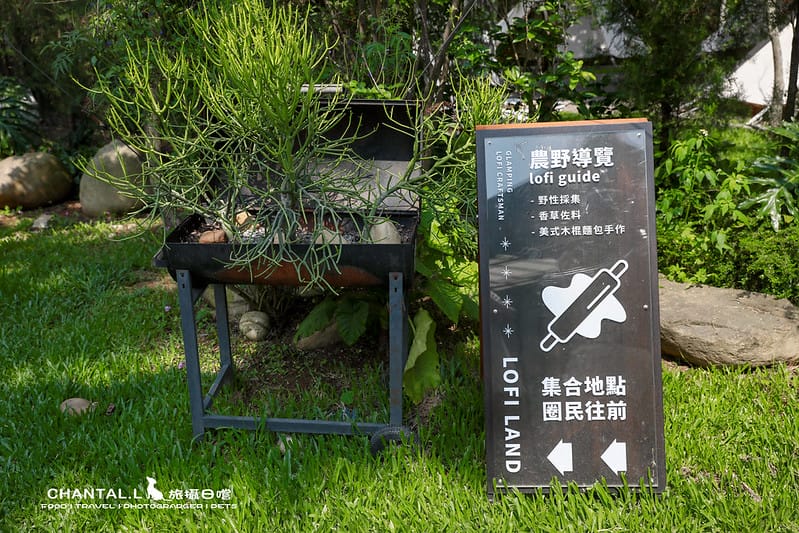 【卓蘭縣/住宿】Farmer life in the Lofi Vibe,不管你是喜歡露營還是寵物飼主,皆不能錯過的LoFiLAND自然圈農場! (環境、寵物友善) - 第53張圖 1J6A5339-2拷貝 拷貝