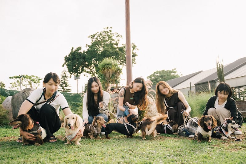 【卓蘭縣/住宿】Farmer life in the Lofi Vibe,不管你是喜歡露營還是寵物飼主,皆不能錯過的LoFiLAND自然圈農場! (餐食、派對套餐) - 第62張圖 7M406163拷貝 拷貝