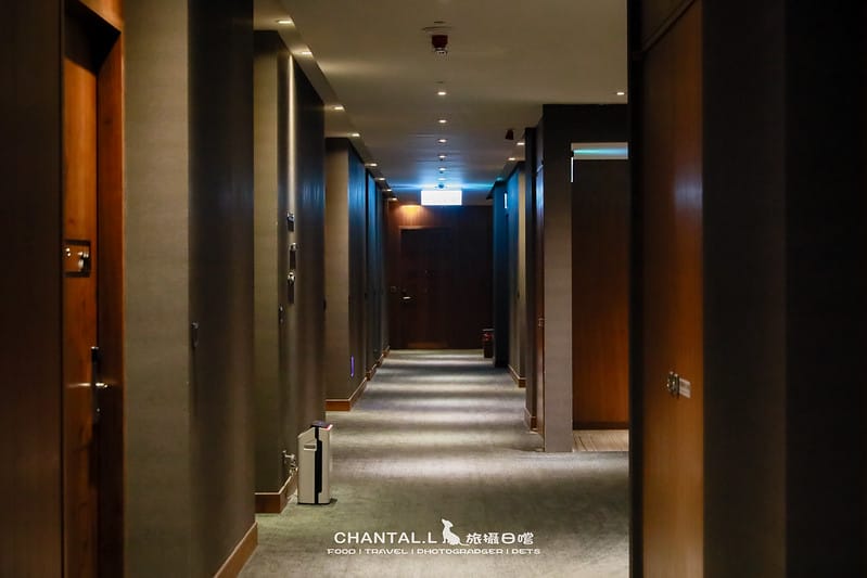 【東區/住宿】來到新竹絕對不能錯過的超級寵物友善飯店-EPISODE Hotel 新竹伊普索酒店 - 第13張圖 1J6A1763拷貝-2 拷貝