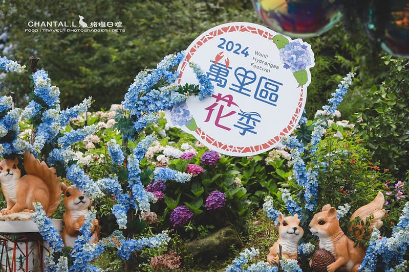 【萬里/景點】超過8000坪的藍色花海,每年一定都會回訪的高家繡球花田的萬里第三園區 - 第3張圖 1J6A5172-2 拷貝 2