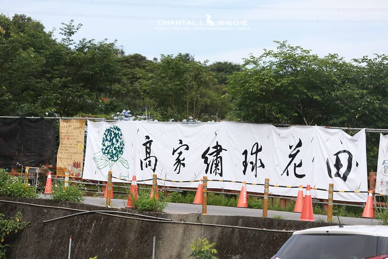 【萬里/景點】超過8000坪的藍色花海,每年一定都會回訪的高家繡球花田的萬里第三園區 - 第2張圖 1J6A0259 拷貝