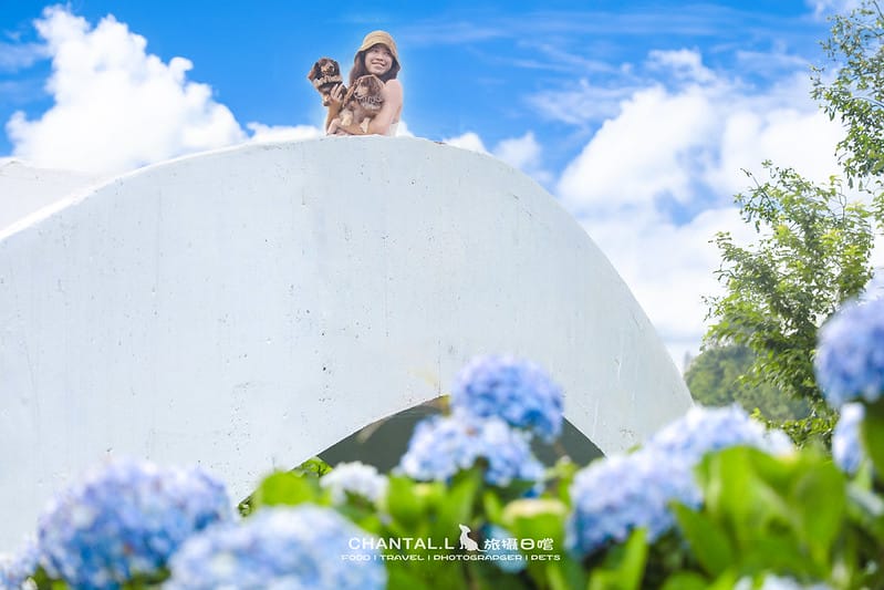 【萬里/景點】超過8000坪的藍色花海,每年一定都會回訪的高家繡球花田的萬里第三園區 - 第26張圖 1J6A9845-2 拷貝