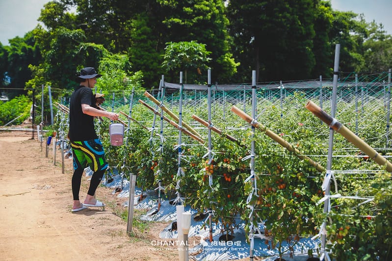 【卓蘭/住宿】豪華露營車與田野風光的碰撞,入住就讓人感到幸福的 小巷清風 Le.Alley Autocamp Resort( 餐點、體驗活動、腳踏車遊園) - 第43張圖 1J6A8401-2 拷貝