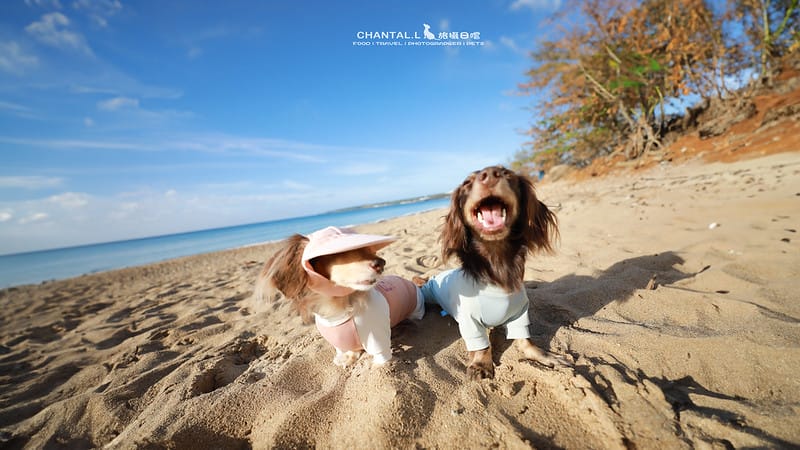 【恆春/住宿】就封為我們在南部的家了:一房一泳池,專屬毛孩的度假VILLA – 獒游邊境 - 第41張圖 1J6A5299-2 拷貝 2