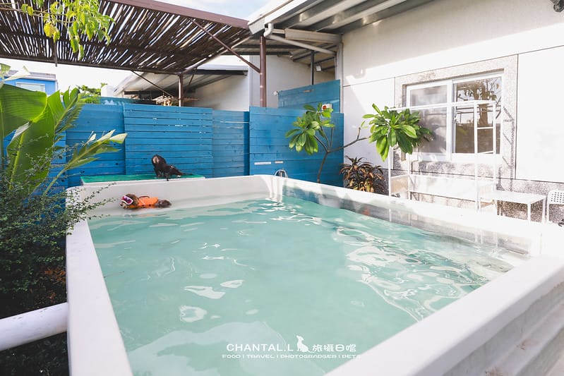 【恆春/住宿】就封為我們在南部的家了:一房一泳池,專屬毛孩的度假VILLA – 獒游邊境 - 第46張圖 1J6A4972-2 拷貝