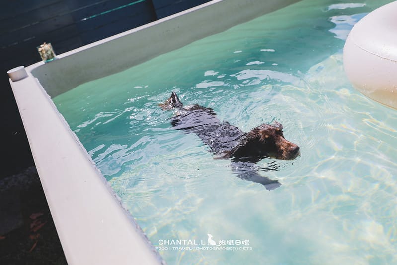 【恆春/住宿】就封為我們在南部的家了:一房一泳池,專屬毛孩的度假VILLA – 獒游邊境 - 第61張圖 1J6A5489-2 拷貝