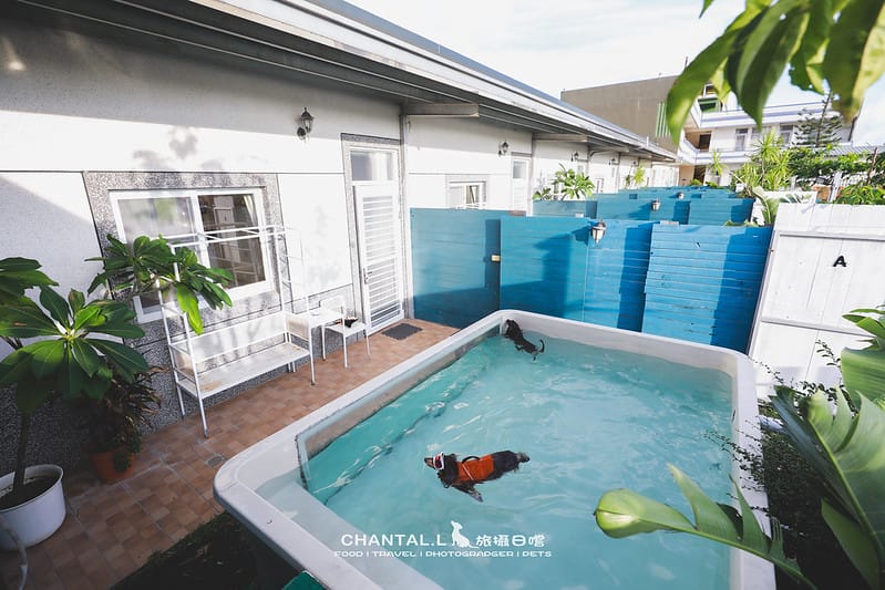 【恆春/住宿】就封為我們在南部的家了:一房一泳池,專屬毛孩的度假VILLA – 獒游邊境 - 第47張圖 1J6A5160-2 拷貝 2