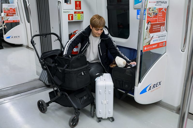 SHARE 帶寵物去韓國 第一集- 檢疫、機票、輸出輸