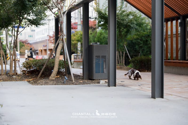 1J6A8796-2拷貝 拷貝 1J6A8796-2拷貝 拷貝