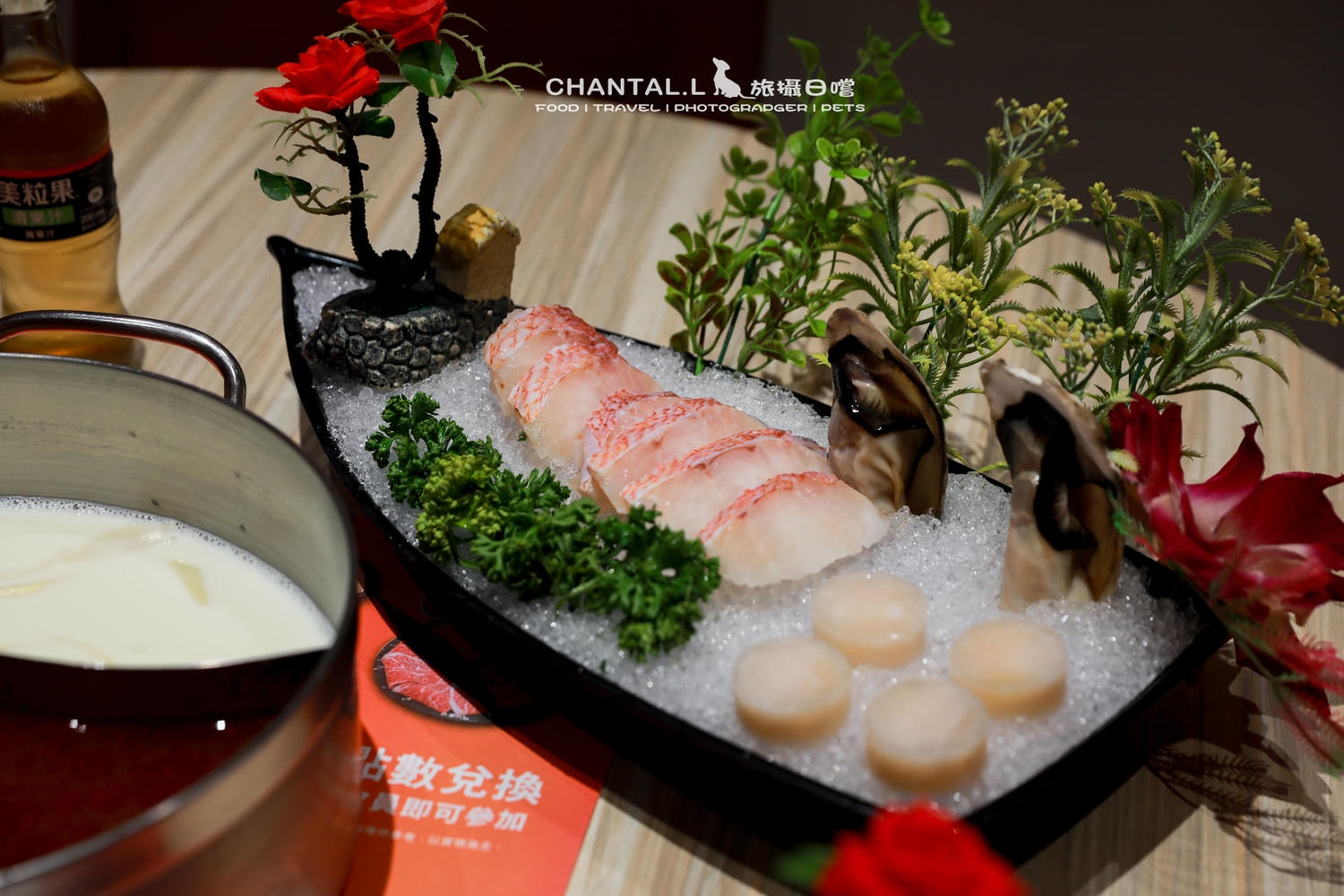 【西區/美食】毛孩家庭可以放心聚餐的地方，我想去已久的-嘉義橘子火鍋（廠商邀約）