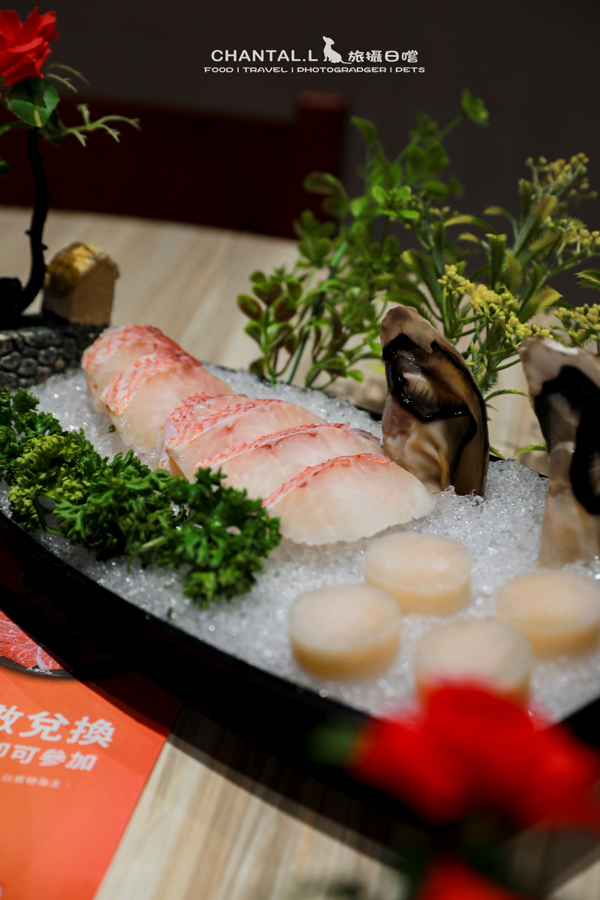 【西區/美食】毛孩家庭可以放心聚餐的地方，我想去已久的-嘉義橘子火鍋（廠商邀約）