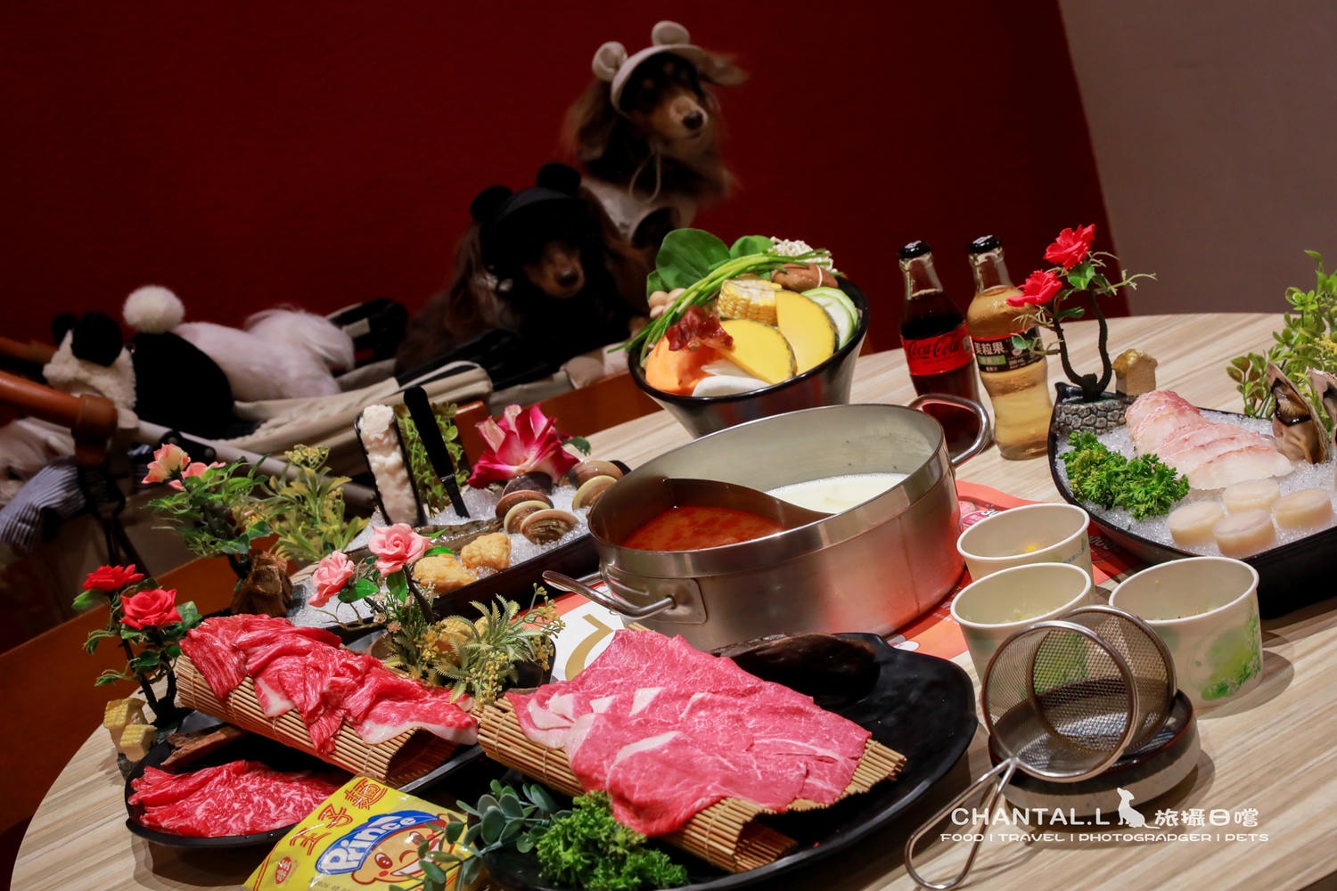 【西區/美食】毛孩家庭可以放心聚餐的地方，我想去已久的-嘉義橘子火鍋（廠商邀約）