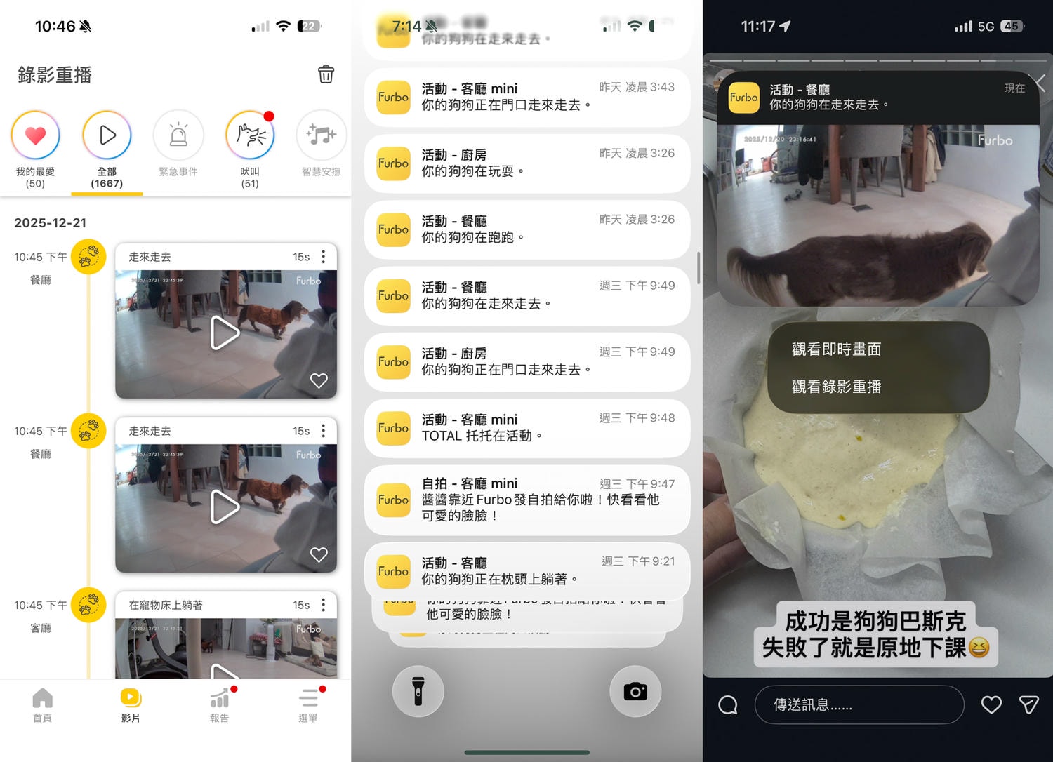｜托托開箱｜少一點無謂的擔心 多一點真正的安心-Furbo Mini 寵物攝影機360度版