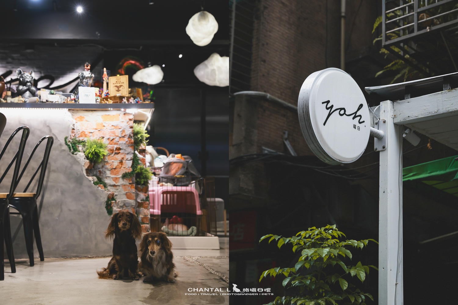 【大安區/延吉商圈】曜日義式餐酒館｜台北最有名的寵物友善餐廳之一，餐點實力超驚人