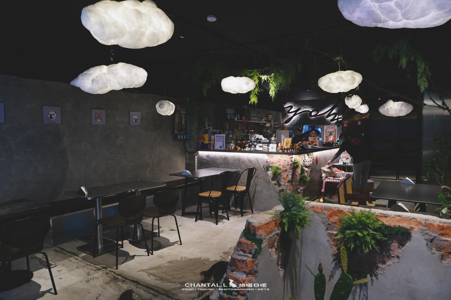 【大安區/延吉商圈】曜日義式餐酒館｜台北最有名的寵物友善餐廳之一，餐點實力超驚人
