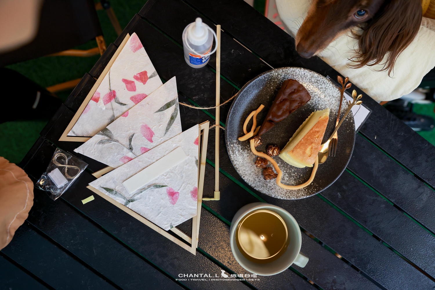 【陽明山/住宿】台北出發30分鐘，和毛孩一起泡湯、圍爐煮茶的山中生活-蟬說暖硫
