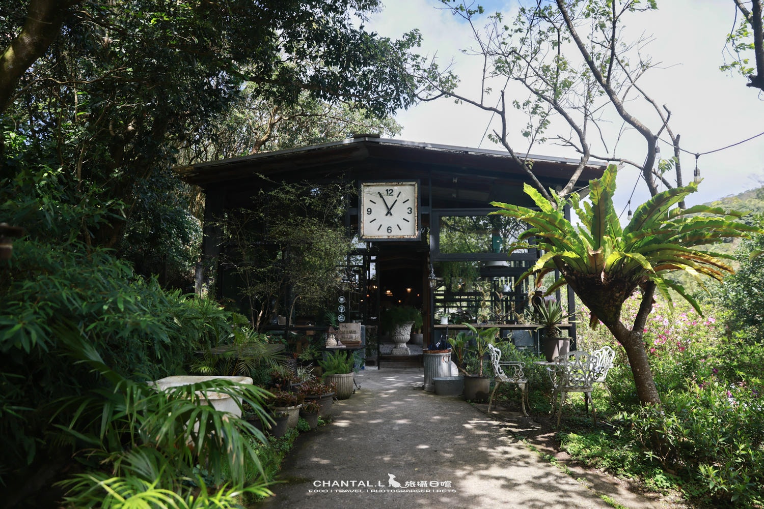 【士林區/陽明山】老件、植栽、山景，陽明山咖啡廳推薦 Savage Garden野人花園