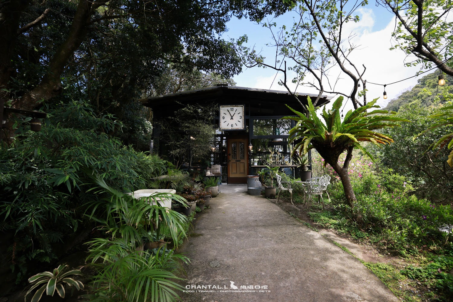 【士林區/陽明山】老件、植栽、山景，陽明山咖啡廳推薦 Savage Garden野人花園