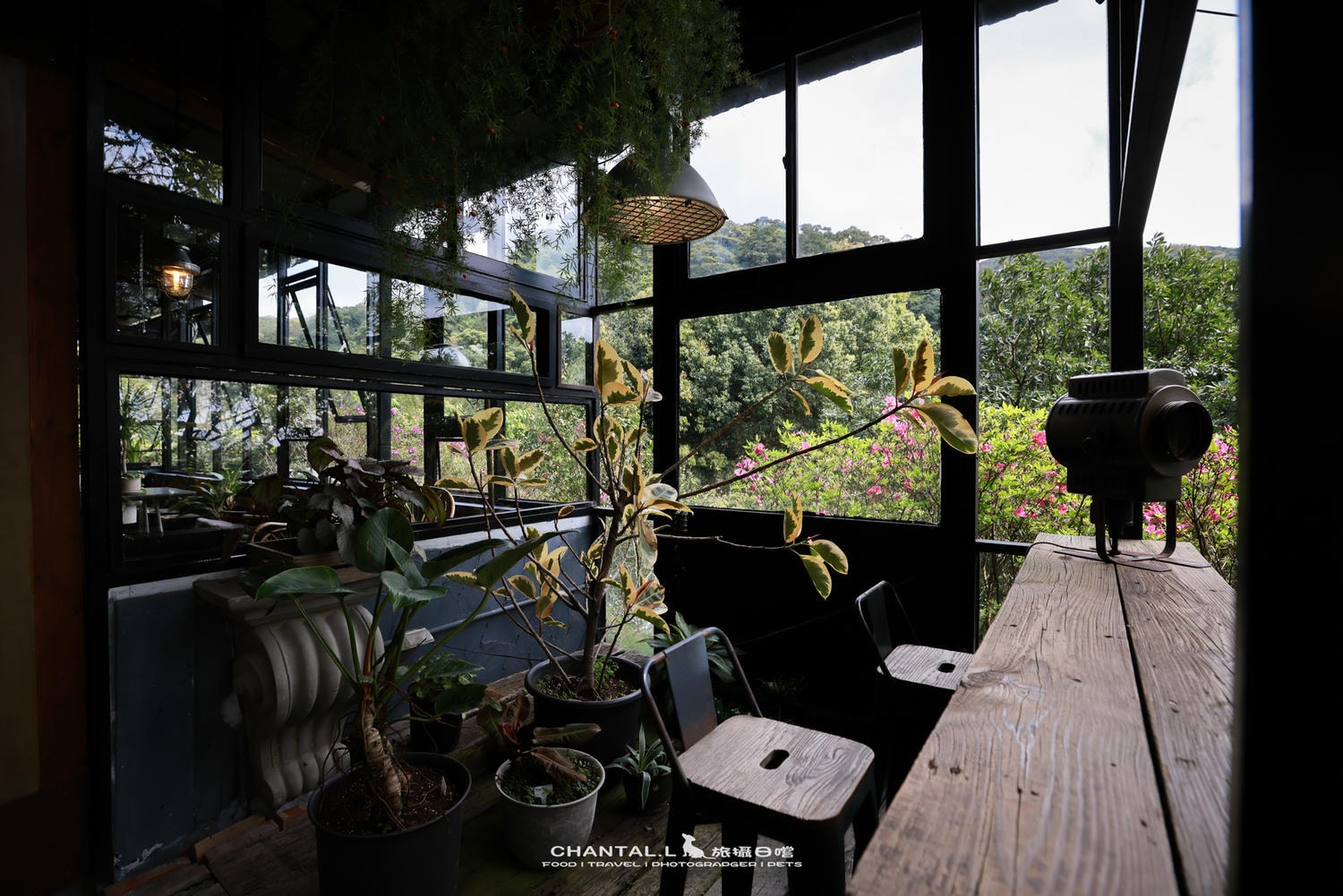 【士林區/陽明山】老件、植栽、山景，陽明山咖啡廳推薦 Savage Garden野人花園